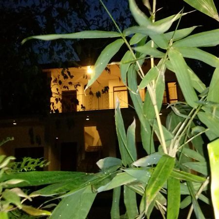Green Earth Resort And Restaurant Dambulla Exterior foto