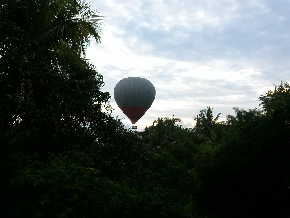Green Earth Resort And Restaurant Dambulla Exterior foto